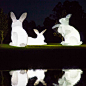 2014年12月5日，澳大利亚艺术家Amanda Parer为庆祝英国伦敦“南岸中心冬之祭”设计了5只巨型的白色充气兔子，安装在伦敦的南岸中心，泛着白色的小兔子像是在巨人国里探索着神秘的自然世界，充气的塑胶材料也充分显示着小动物们的脆弱性，以及我们要在其中发挥的作用。而这些巨型的大白兔也从昨日起回归家乡，现身悉尼，成为澳大利亚一年一度的灯光音乐创意节“生动悉尼”的一部分，高耸着的艺术作品萌萌的超可爱，在它们的面前成年人们也都露出了孩子般的童真秉性，和孩子们还有这些大白兔一起拍照玩耍，展现出一片愉快的景象！