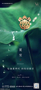 源文件下载 夏至 夏至 24节气 小暑 大暑