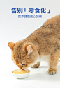 美人喵猫条100支整箱猫咪零食主食猫罐头成幼猫补充营养增肥发腮-tmall