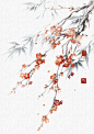 红梅雪