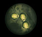 Close-up of ozone  particle