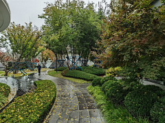 可能是只汪采集到W-植物景观