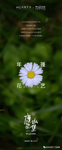 垂柳的异象采集到海报设计