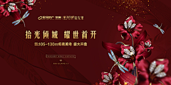 苏州铭典采集到星河