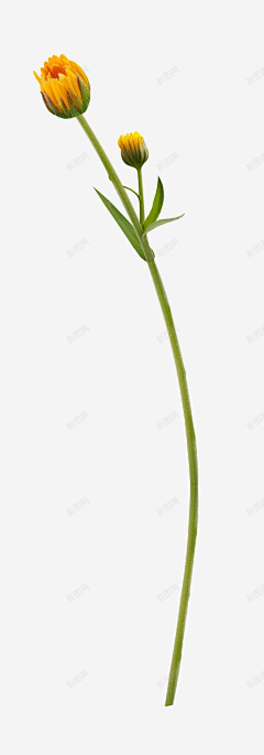 小U33采集到粉底液气垫