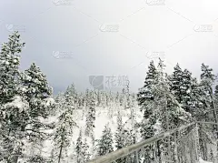 拉普兰的冰冻景观