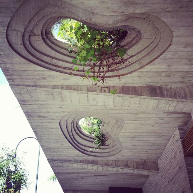 Green roof in New Yo...