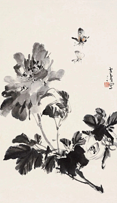 雪小石采集到国画---墨牡丹