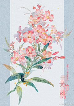 小小小绵王子采集到花纹刺绣