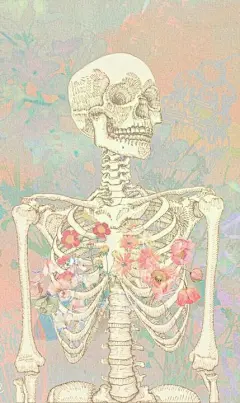 来自分享