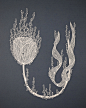 Bubble-Covered Flowers and Ornate Animals Formed From Cut Paper by Pippa Dyrlaga : The most basic instrument in the hands of a master can produce awe-inspiring results. For Yorkshire-based artist and printmaker Pippa Dyrlaga (previously), that instrument 