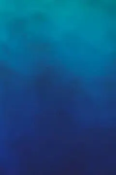 插在瓶中的鲜花小清新手机壁纸 | Aladd设计量贩铺