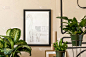 复古工作室的风格素描和绿色植物，室内设计