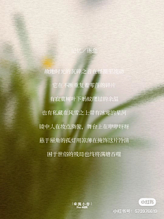 星晴不加糖采集到文案