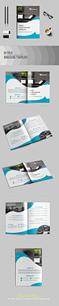 专业手册模板——企业宣传册Professional Brochure Template - Corporate Brochures抽象,抽象的小册子,机构,机构宣传册,双褶,两褶的小册子,书,小册子,小册子设计,宣传册模板,业务,业务宣传册,公司,公司简介,公司、企业宣传册设计,设计师,模板,手册 abstract, abstract brochure, agency, agency brochure, bifold, bifold brochure, book, booklet, brochure de