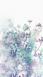 板绘壁纸封面花卉棉花_蜉蝣山雀__插画师作品_涂鸦王国gracg.com