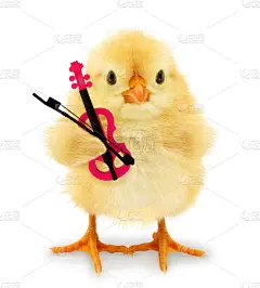 带着粉色小提琴和小提琴弓的疯狂音乐少女。有趣的小动物音乐播放概念