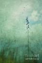 sd-priska-wettstein 进口装饰画画芯高清图片