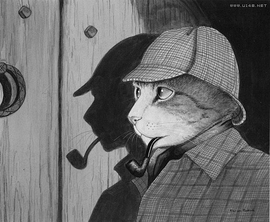   福尔猫斯