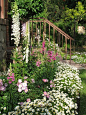 Cottage garden: 