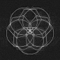 Beauty and the Maths / Sacred Geometry <3