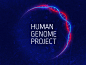 human-genome-project-large (800×600)