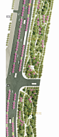 原创城市道路绿化景观设计PSD彩色总平绿道路景观规划彩平PS素材-淘宝网