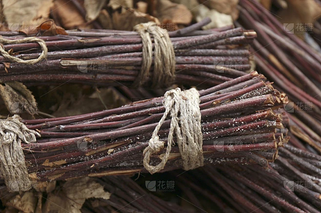 把一捆小木条用绳子捆起来，捆成捆的小木条素材-花瓣网