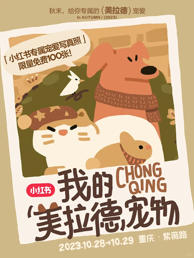 我的美拉德宠物|秋末，来重庆吹美拉德的风