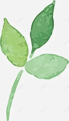 绿叶装饰盆景花盆矢量图高清素材 叶子 手绘花盆 枝叶 欧式花盆 矢量图 罗马花盆 花盆植物 装饰盆景花盆 元素 免抠png 设计图片 免费下载 页面网页 平面电商 创意素材