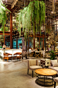 泰国曼谷废弃仓库改造的Vivarium生态餐 设计圈 展示 设计时代网-Powered by thinkdo3