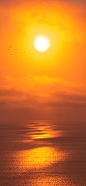 太阳 阳光 飞鸟 风平浪静