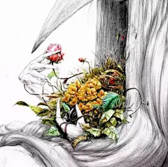 插画 | 看美女笔下的彩铅画唯美女孩肖像