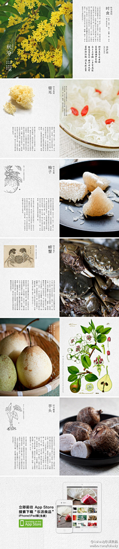 Àlapluie采集到书装