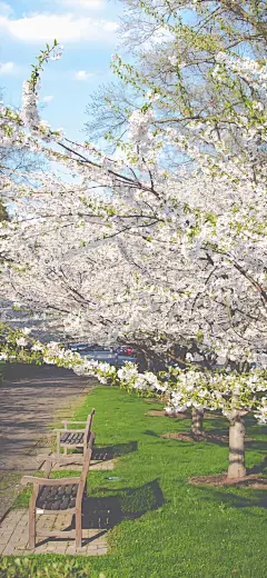 小众手机壁纸锁屏 ​​​​