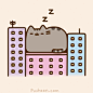 Pusheen the cat