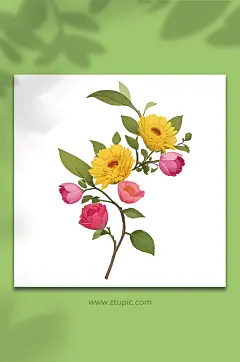 简约手绘花植物29