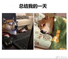 讨米艺术家采集到表情包