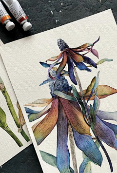 邹易游采集到插画