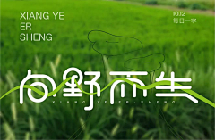 Chengjunyi采集到字体