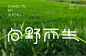 任我前行！18款向野而生字体设计