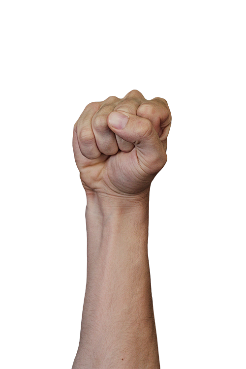 fist 拳头 手势PNG免抠图