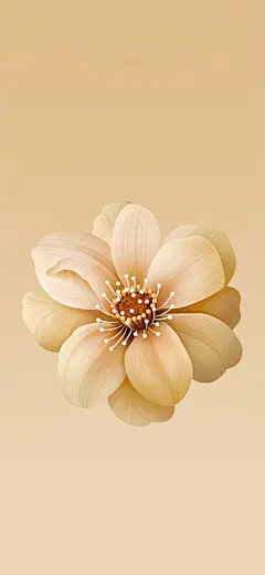 花-iphone-壁纸
