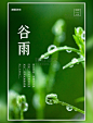 潮国原创二十四节气谷雨节气绿色大气海报