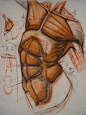 Charles Hu Figure Drawing Lecture*updated 4/21/2011* via ... | Anatom…