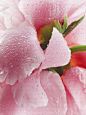 121328_wm.jpg