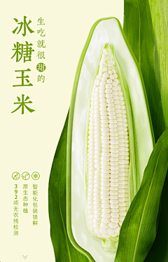 骑小猪看斜阳采集到左右结构-海报