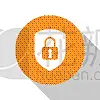分离着色,白色,安全,图标,盾,计算机,挂锁,安全的,概念,锁