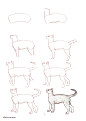 50种猫的画法_百度文库