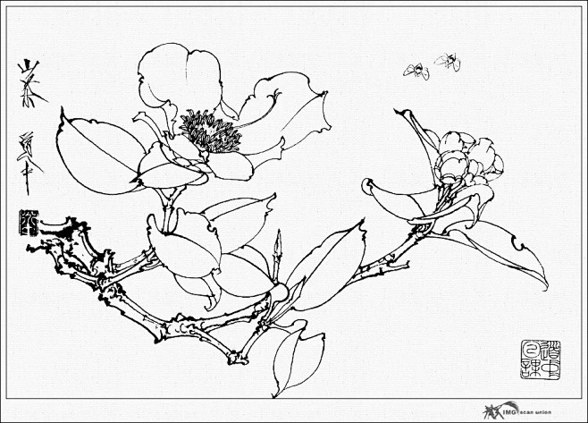 王道中工笔花卉白描30p